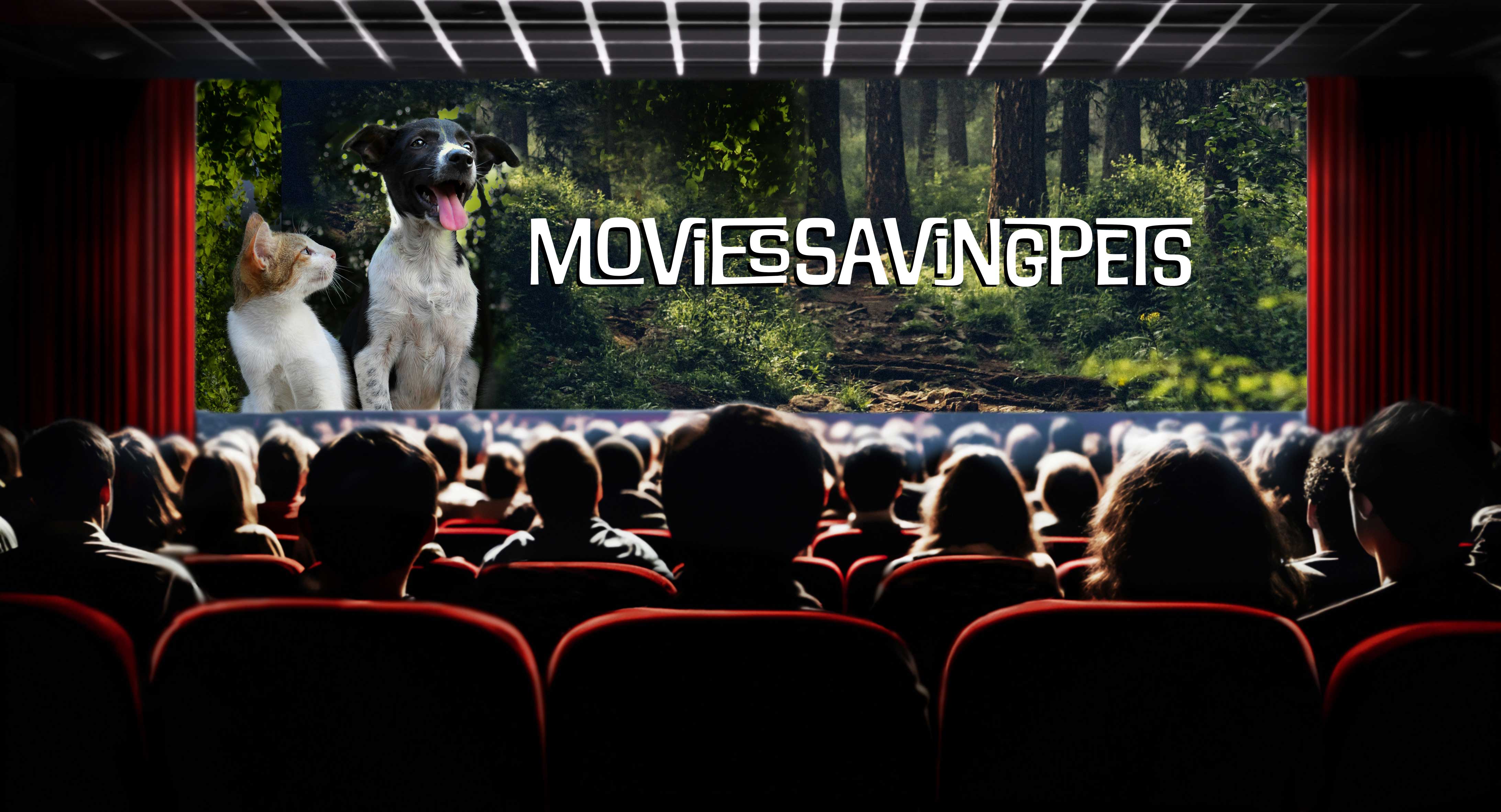 movie audience